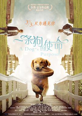 BD国语全集免费观看