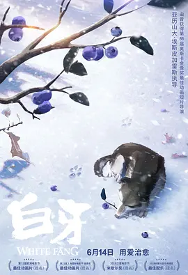 1080HD高清在线观看