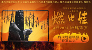 影片在国内公映后，观众也发现关键情节缺失、角色动机模糊等问题，比如梁家辉饰演的狄文杰故事线不完整，其妻子被害情节一笔带过，他枪杀李氏兄弟的背后原因也不明。