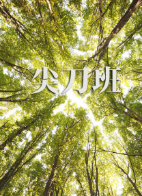 高清影视