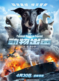 手机在线观看