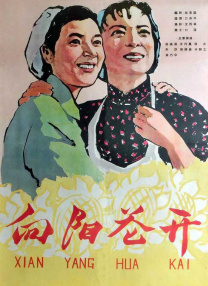 完结高清影视