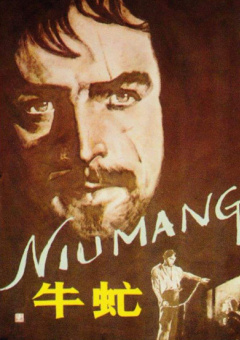 DVD高清完整版