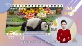 1080P未删减版在线观看